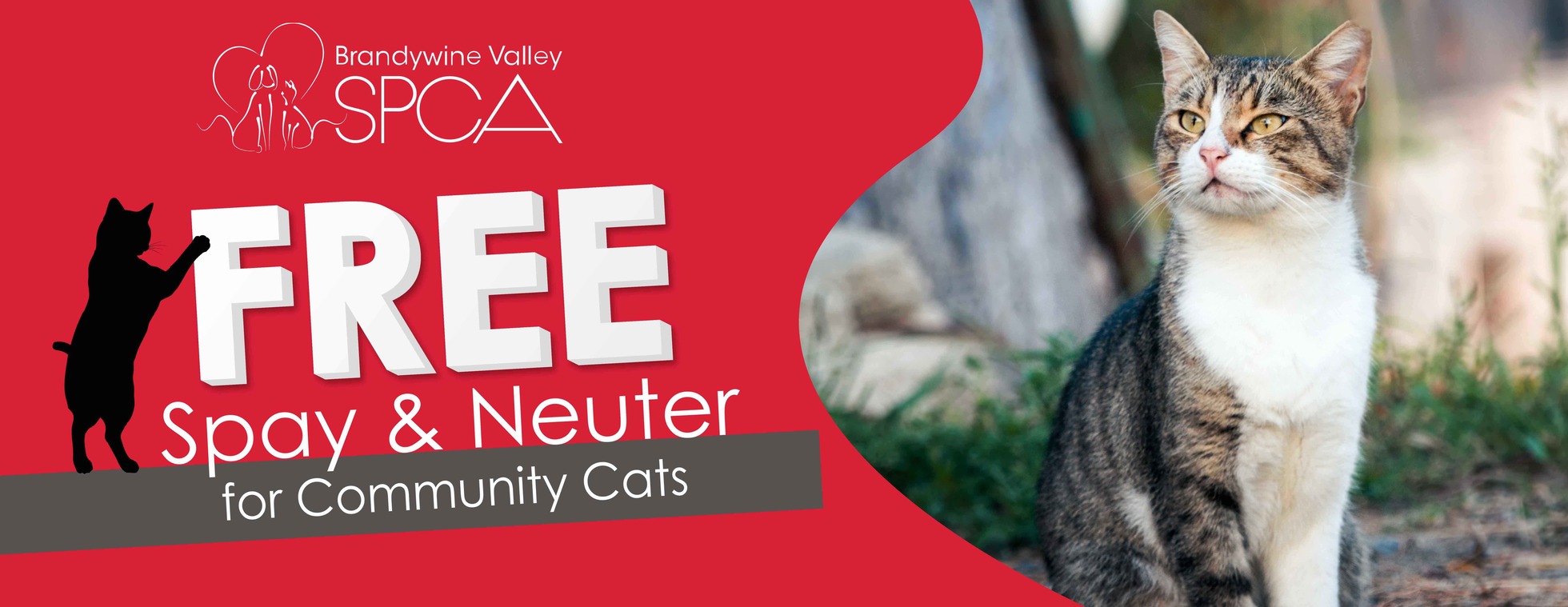 Spay/Neuter